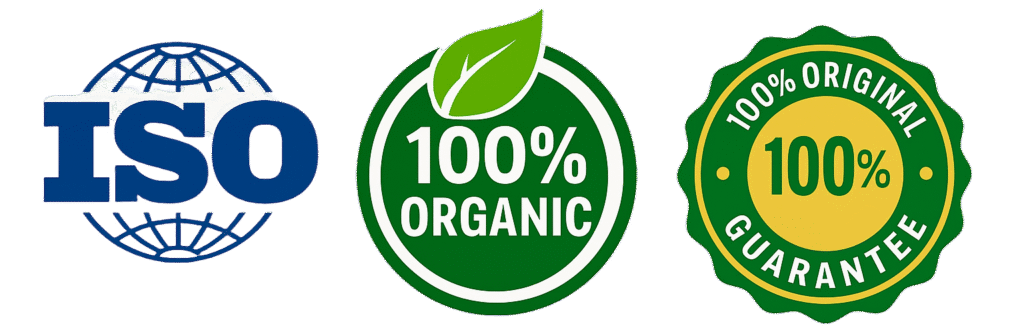 adobe express file (2)