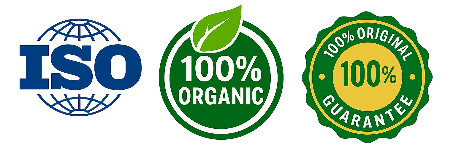 adobe express file (2)